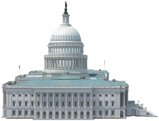Procurement Officer in a Federal Agency